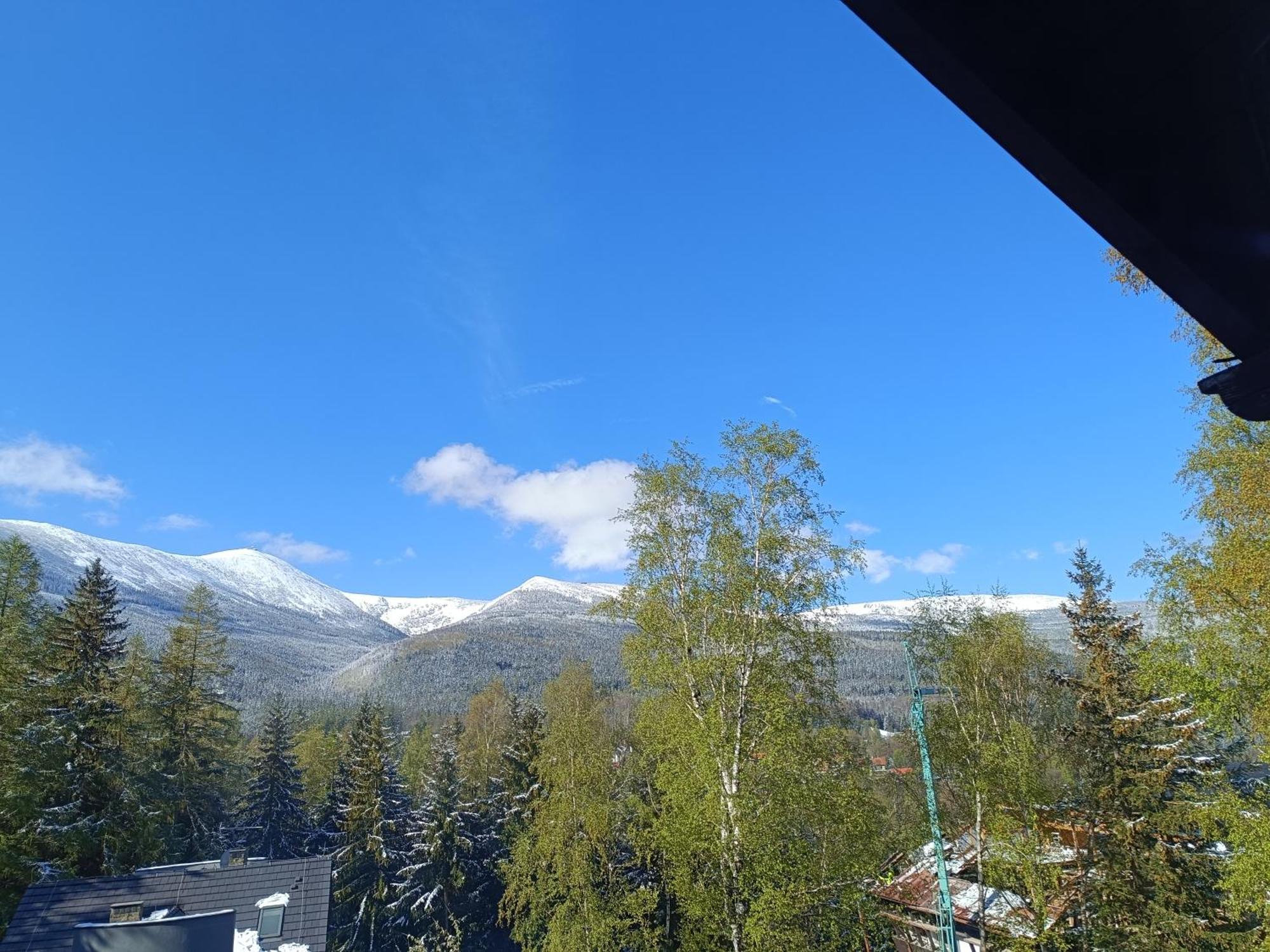 كارباش Willa Alaska المظهر الخارجي الصورة