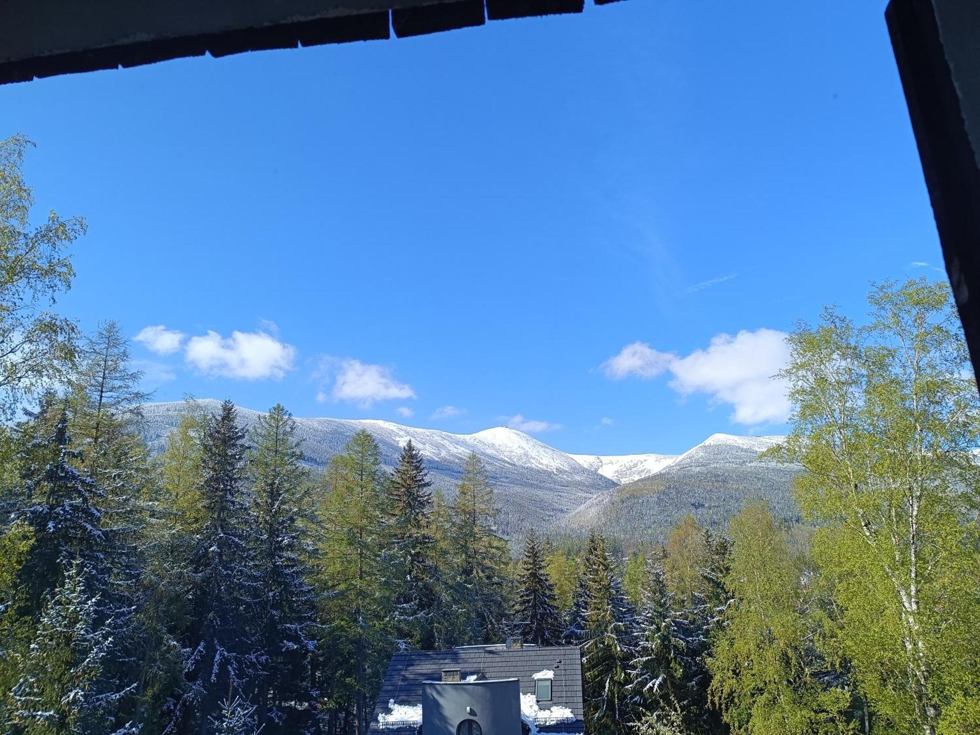 كارباش Willa Alaska المظهر الخارجي الصورة