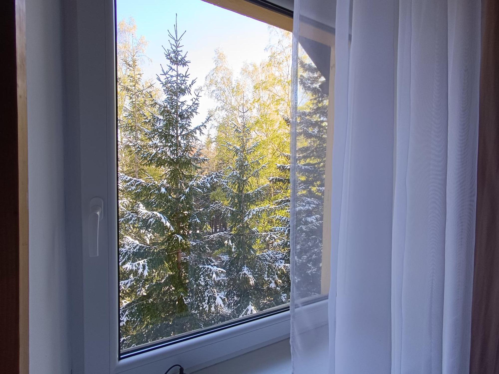 كارباش Willa Alaska المظهر الخارجي الصورة